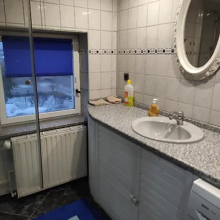 3 Seitenhof Im Herzen Des Lausitzer Seenlandes *